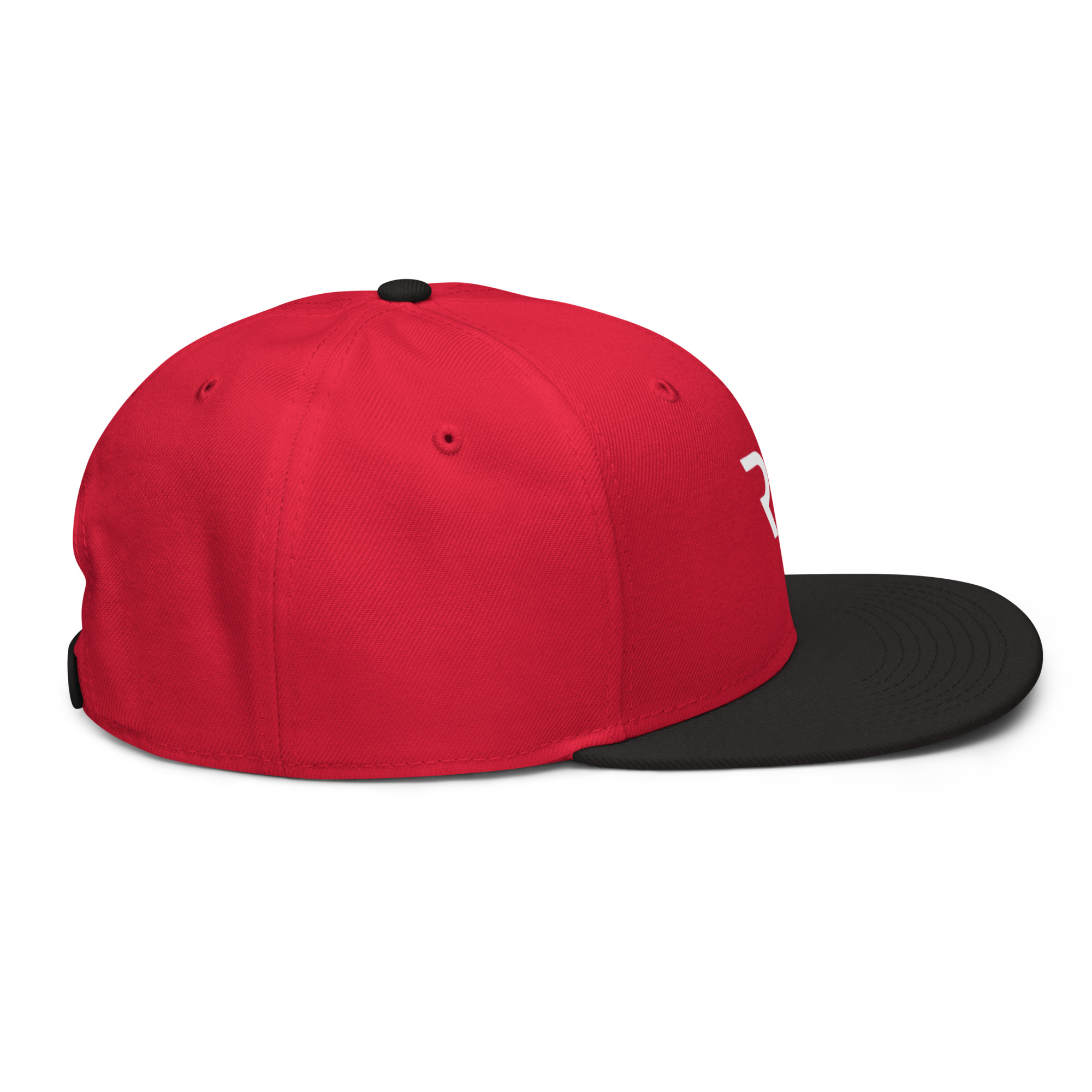 RL Snapback Hat - Image 48